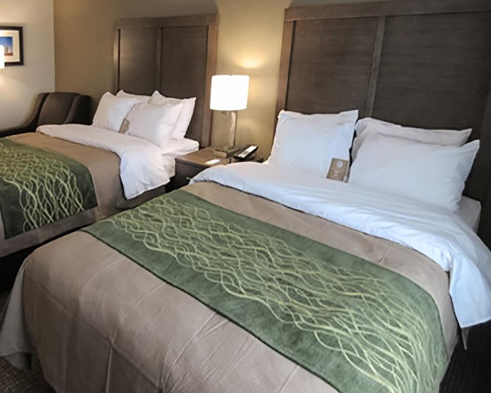 Comfort Inn & Suites Snyder Ngoại thất bức ảnh
